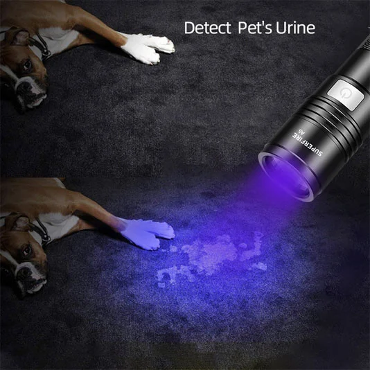 SUPER FIRE A5 395nm wasserdichtes kleines schwarzes Hand-UV-Taschenlampe licht